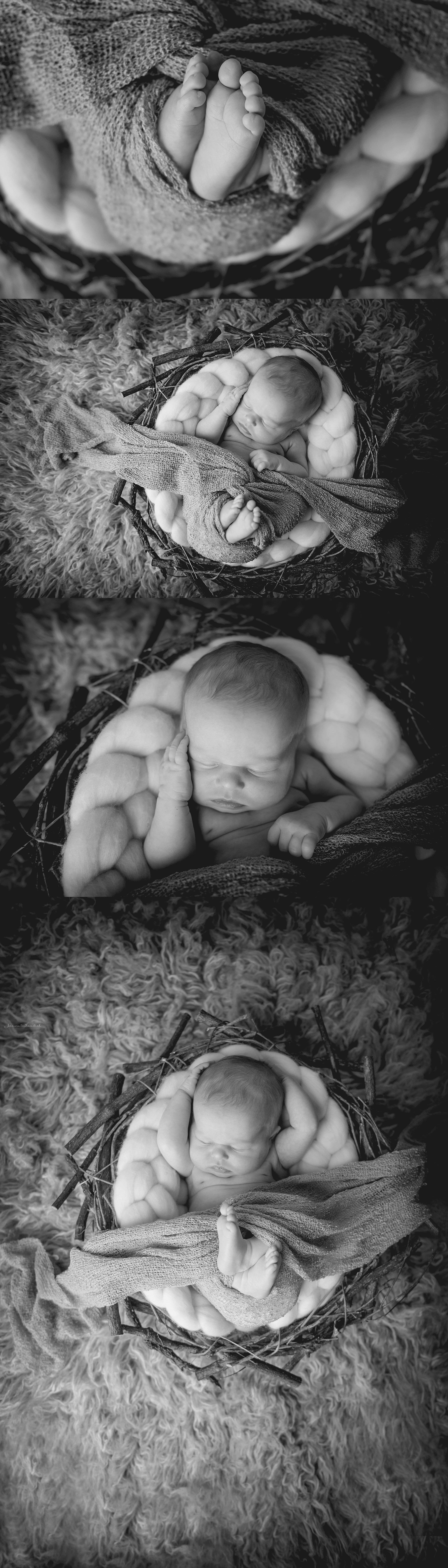 baby toes, newborn baby girl, newborn photography